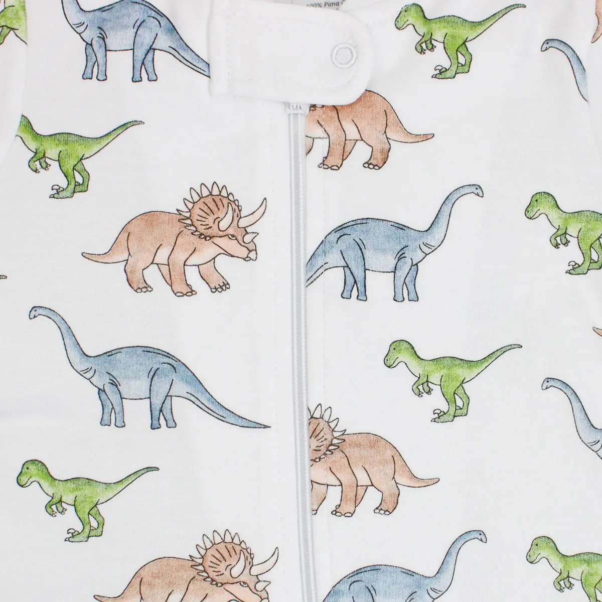 Big Dinos Zipper Footie |  Baby Boy