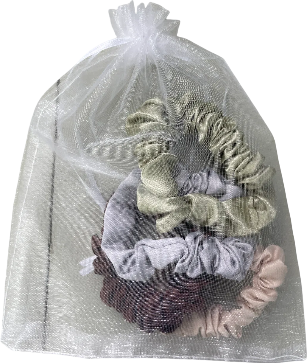 Multicoloured Set Of 4 Neutral Satin Hair Scrunchies In Tulle Gift Bag