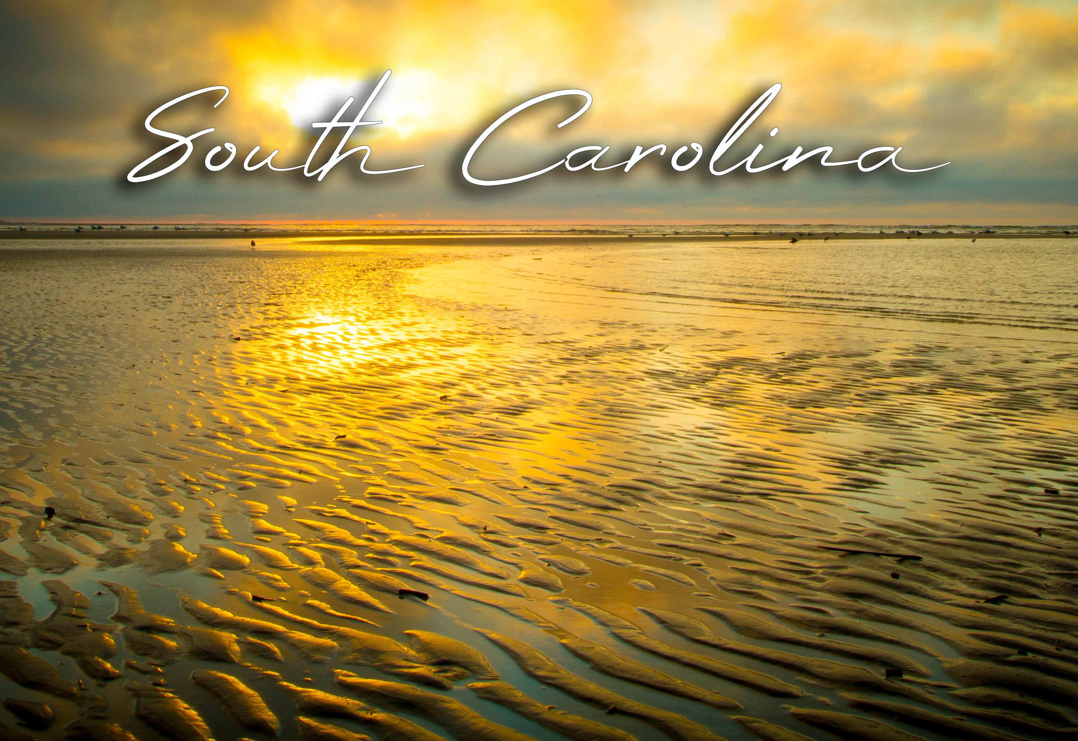 South Carolina Sunrise 2"x3" Photo Magnet